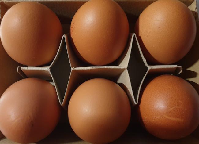 Eier-Grose-L-Kleinod-3.jpg