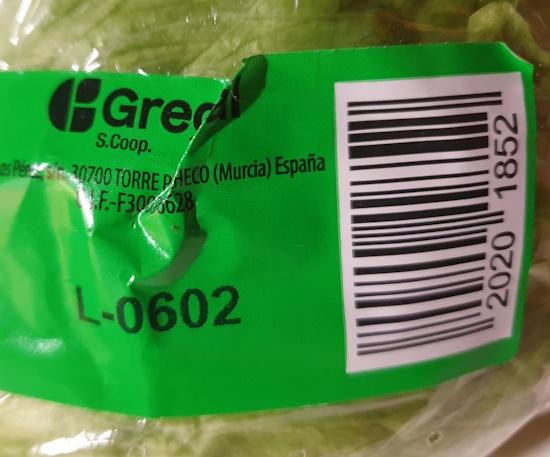 Eisbergsalat.jpg