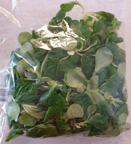 Feldsalat-2.jpg