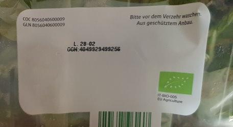 Feldsalat-Bio-2.jpg
