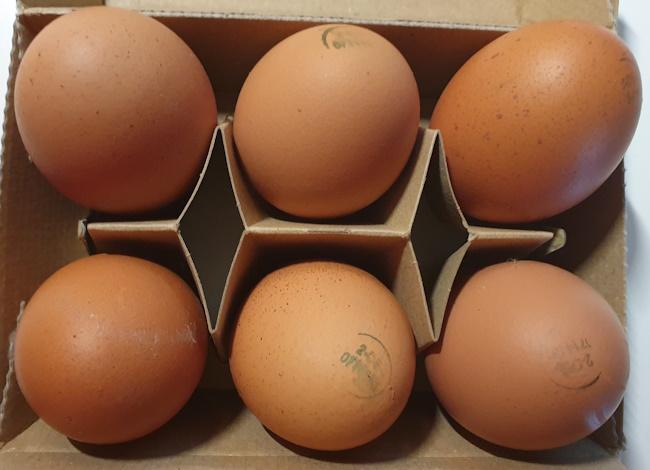 Frische-Eier-6-2.jpg