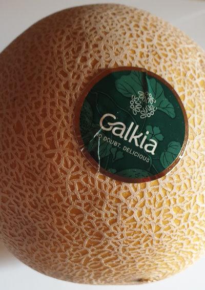Galkia-Cantaloupe-Melone.jpg