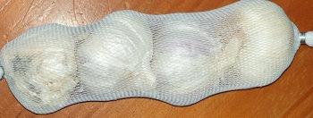 Garlic Σκόρδα Knoblauch