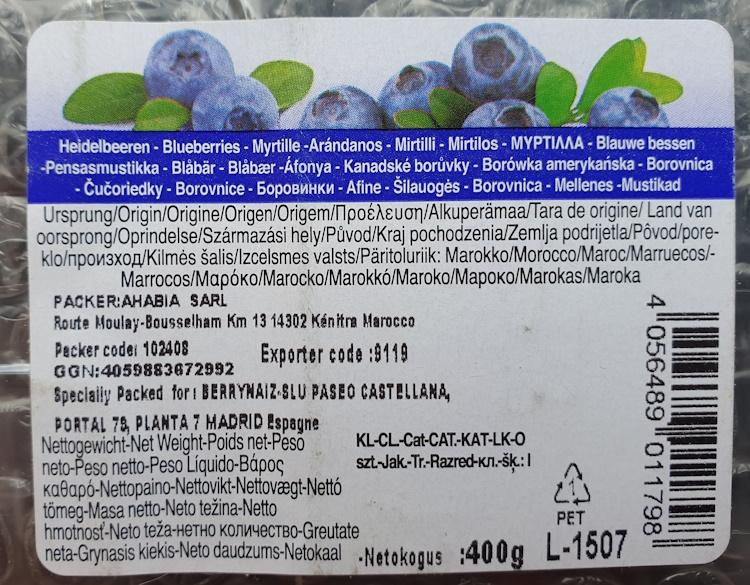 Heidelbeeren-Blueberries-20260421_120749.jpg