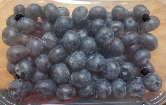 Heidelbeeren-Blueberries.jpg