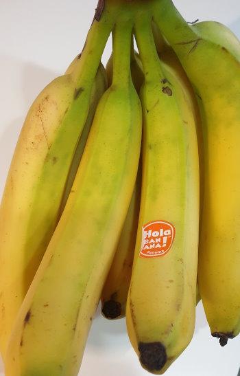 Hola-Bananas-Panama.jpg