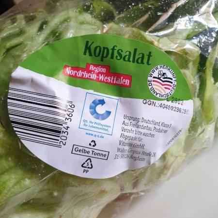 Kopfsalat