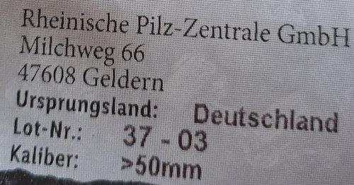 Kultur-Champignons-Weiss-Riesen-ORG.jpg