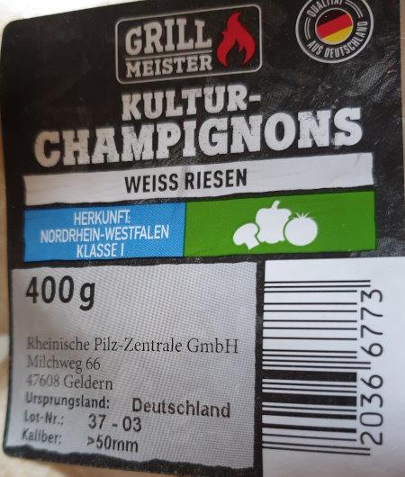 Kultur-Champignons-Weiss-Riesen-b.jpg
