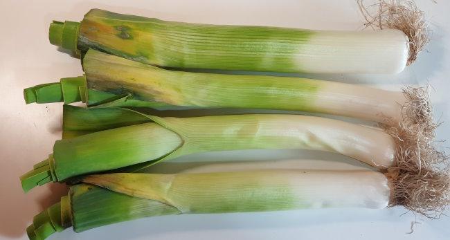 Leeks-Poireaux-Porree.jpg