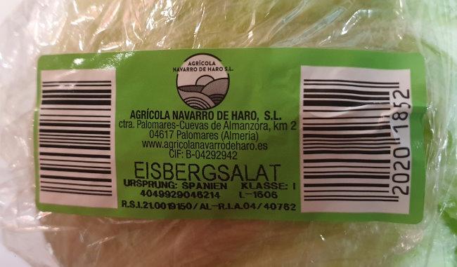 Lettuce-Iceberg-Eisbergsalat-25.jpg