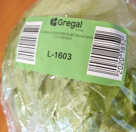 Lettuce-Iceberg-Eisbergsalat-Gregal-Spain-1.jpg