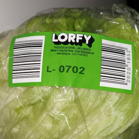 Lettuce-Iceberg.jpg