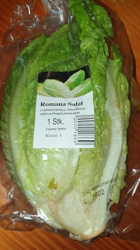 Lettuce-Romana-salat-1.jpg