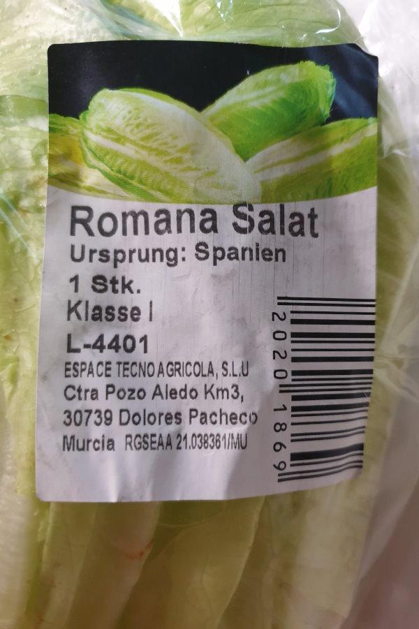 Lettuce-Romana-salat-2.jpg