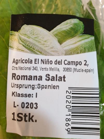 Lettuce-Romana-salat-2026-01-12.jpg