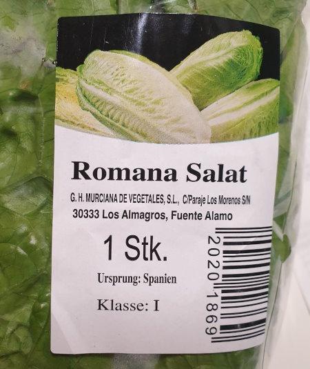 Lettuce-Romana-salat-3.jpg