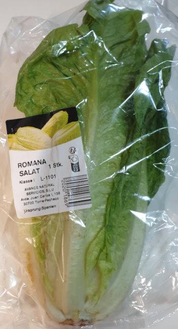 Lettuce-Romana-salat-Spain.jpg