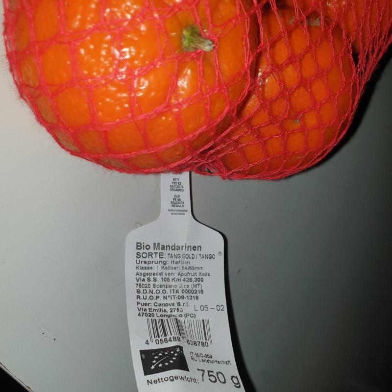 Mandarins-03.jpg