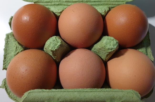 Meusers-Westerwalder-BioEi-Eier-Eggs-b.jpg