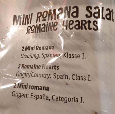 Mini Romana Salat 2