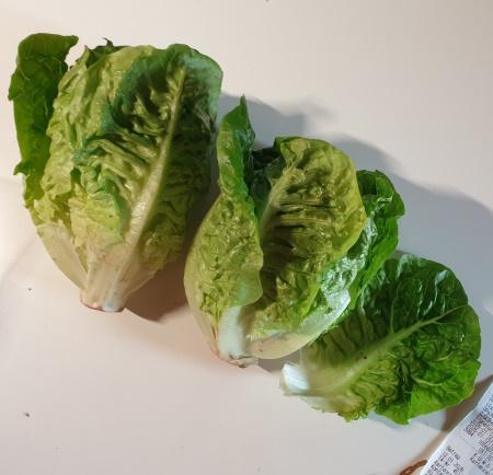 Mini Romana Salat