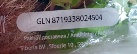 Multicolorsalat 2