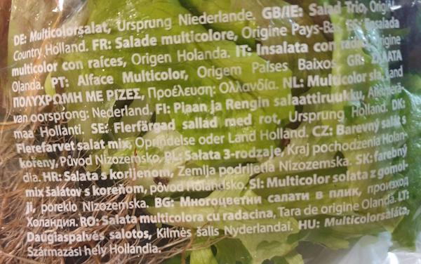 Multicolorsalat-ORG.jpg