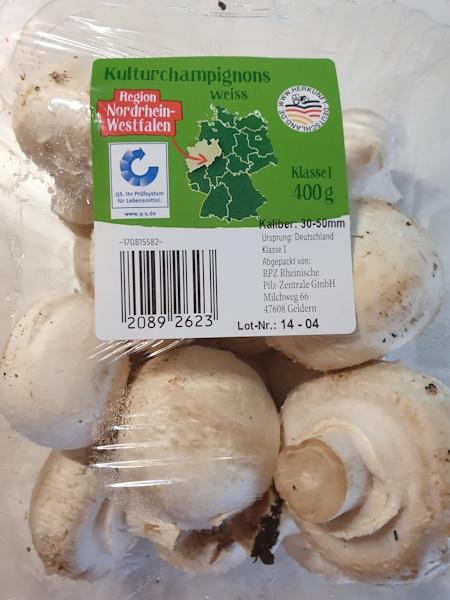 Mushrooms-1.jpg