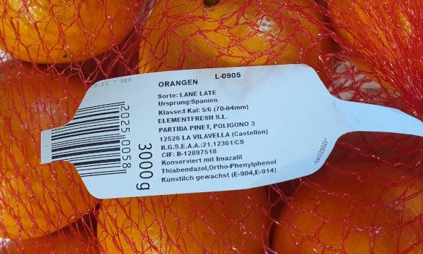 Oranges-Lane-Late-Spain.jpg