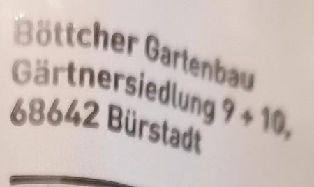 Petersilie-Krause-ORG.jpg