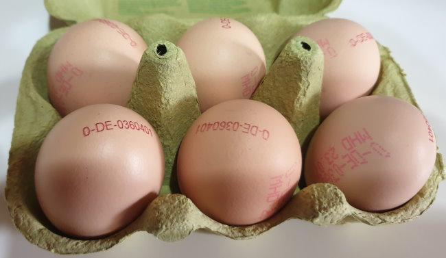 ReweBioSpitzUndBubeEggsEier2.jpg
