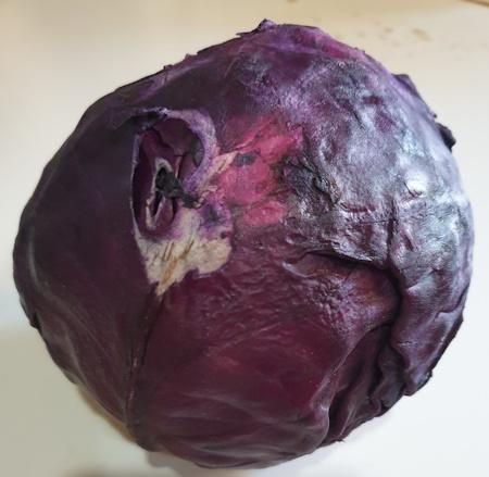 Rotkraut 2