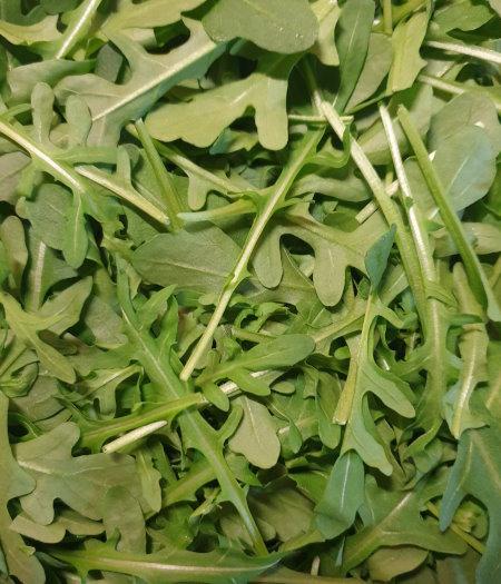 Rucola Ρόκα Roquette Rocket