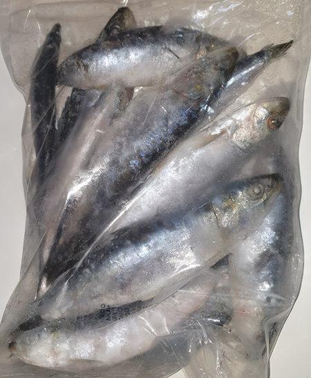 Sardelle-Sardines-SOL-MAR.jpg