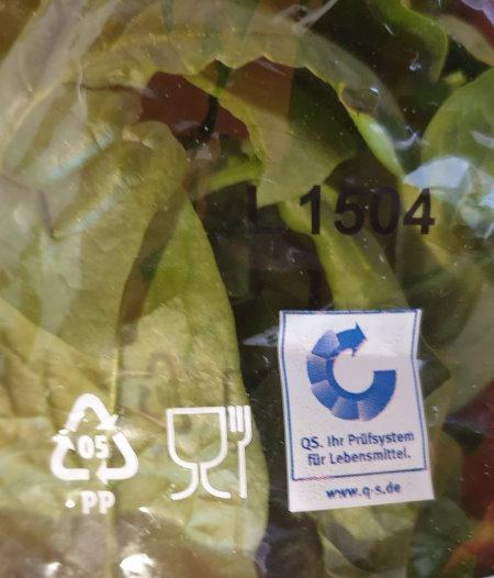 Spinach-Blattspinat-03.jpg