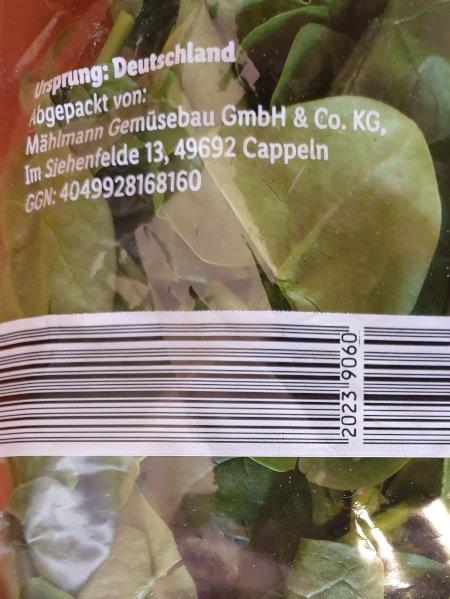 Spinach-Blattspinat-2.jpg