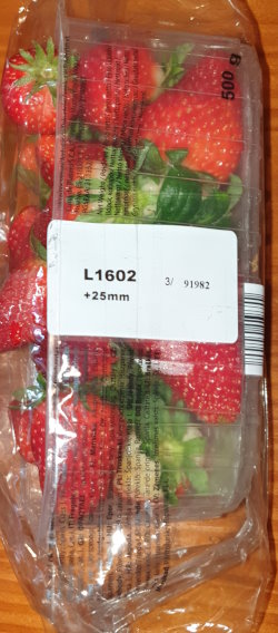Strawberries - Erdbeere 2