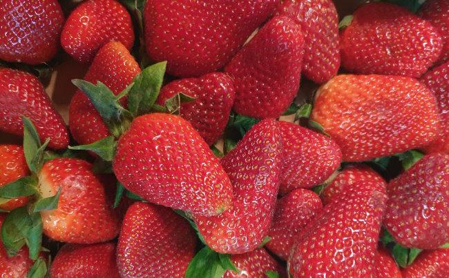 Strawberries-fresDeliss-Spain-2.jpg