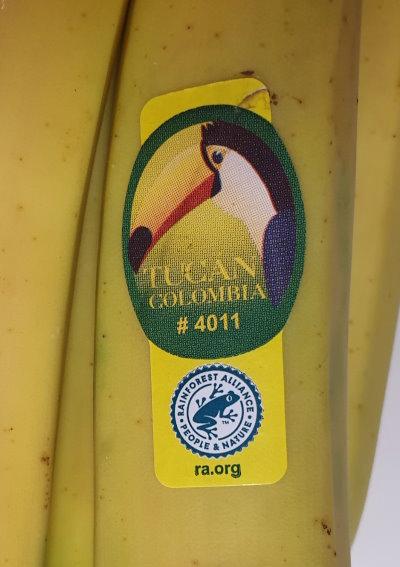 TUCAN-Colombia-4011-Bananas.jpg