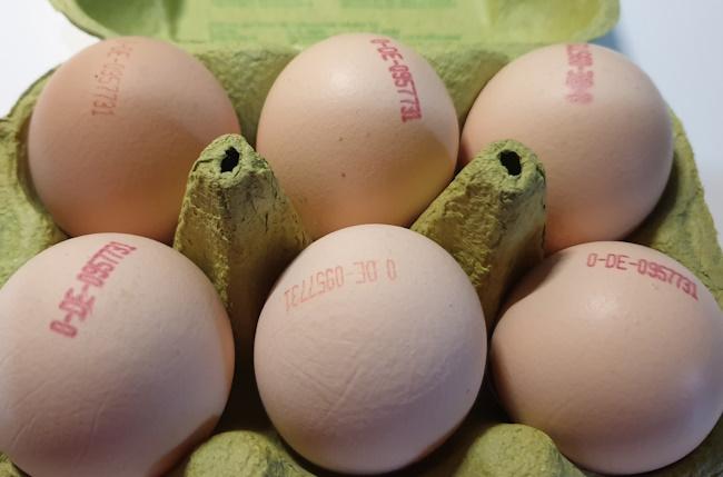 Tinted-Bio-Eggs-ORG.jpg