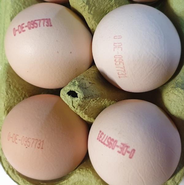 Tinted-Bio-Eggs-ORG3.jpg