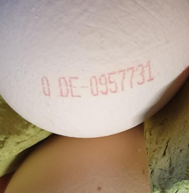 Tinted-Bio-Eggs-ORG4.jpg