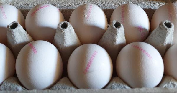 White-Eggs-Size-L-5.jpg