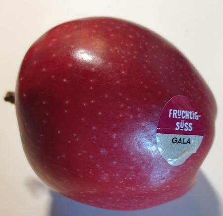 apples-20260402_152246.jpg