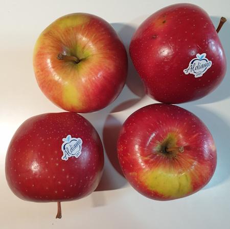 apples-Aldiamo.jpg
