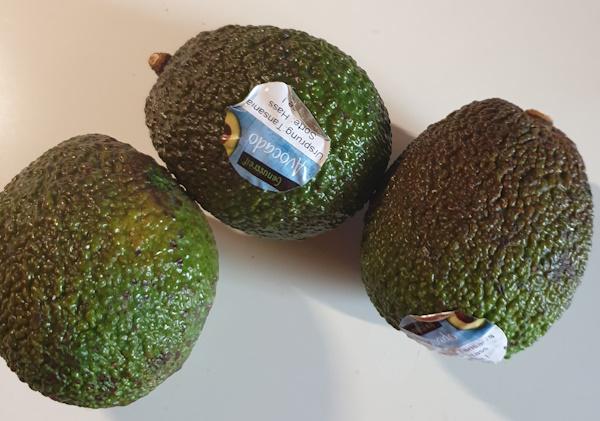 Avocados 2
