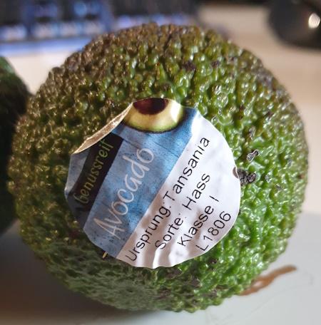 avocados-20260508_124410.jpg