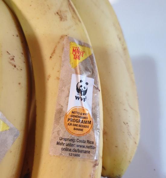 banana-Costa-Rica.jpg