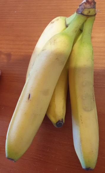 Bananas
